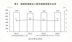 关于2024年国平易近经济和社会成长打算施